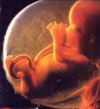 baby08.jpg