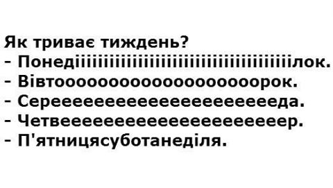 12799055_1061820567203706_3465305881072672244_n.jpg